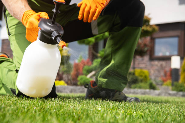 Best Residential Pest Control  in Cleveland, AL