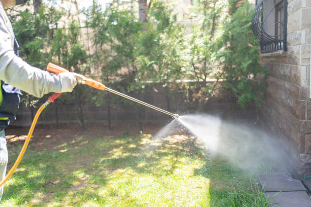 Best Local Pest Control Services  in Cleveland, AL