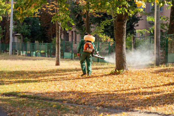 Reliable Cleveland, AL Pest Control Solutions